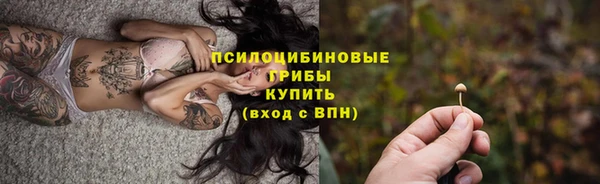 спайс Алексин