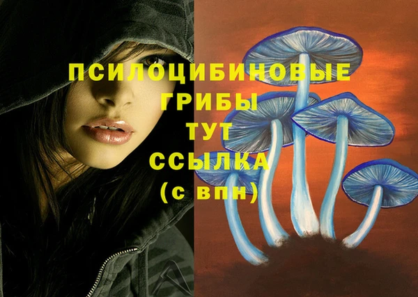 МДМА Алексеевка