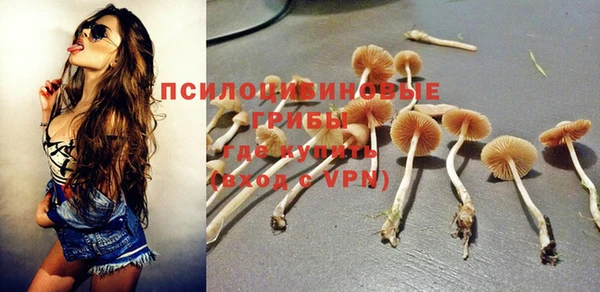 спайс Алексин