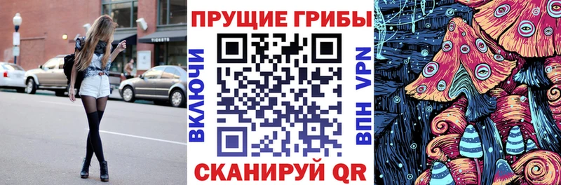магазин Мантурово Псилоцибиновые грибы Psilocybe